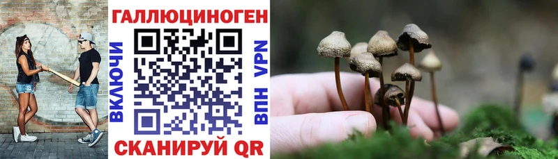 Галлюциногенные грибы мухоморы  Безенчук 